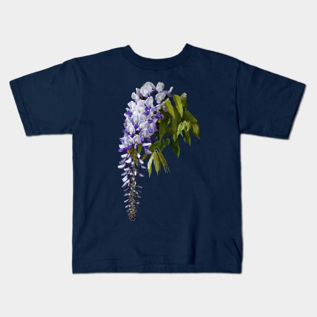 Wisteria - Wisteria and Leaves Kids T-Shirt by SusanSavad